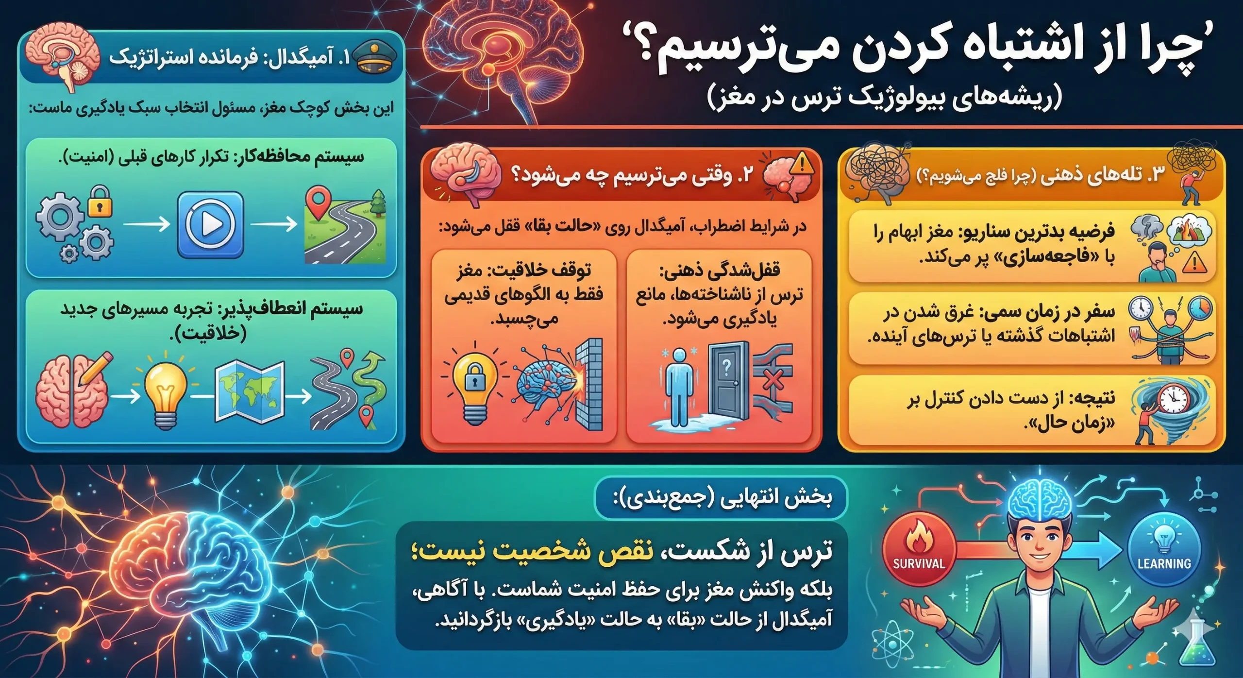 آمیگدال و ترس از شکست و اشتباه
